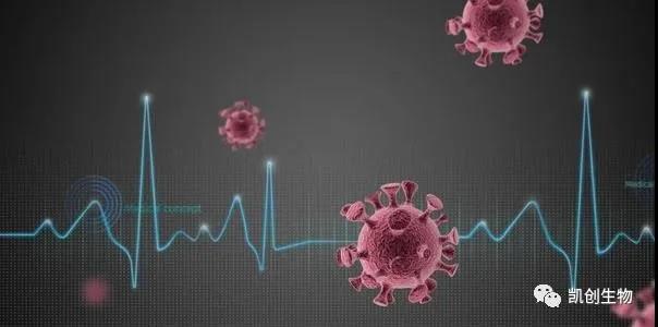 喜訊：凱創(chuàng)生物多款新冠抗原試劑均已獲CE準入和出口白名單！